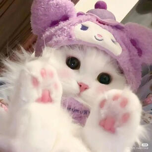 Gremlin Model Art + Rig Hamchiiro